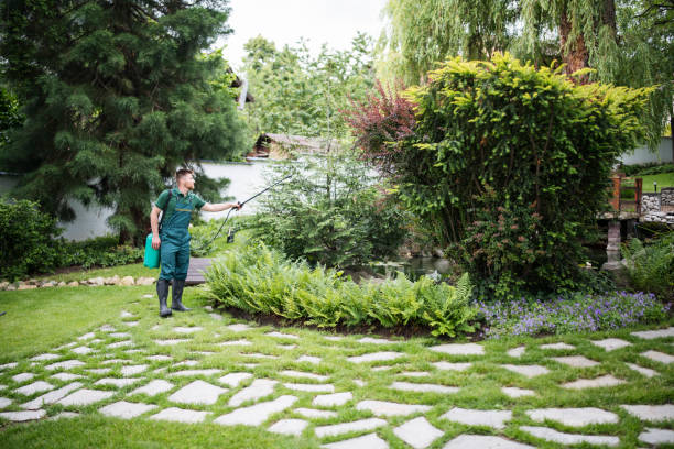 Insect Control in Bellmawr, NJ