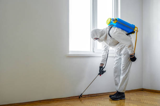 Best Wildlife Control Services  in Bellmawr, NJ