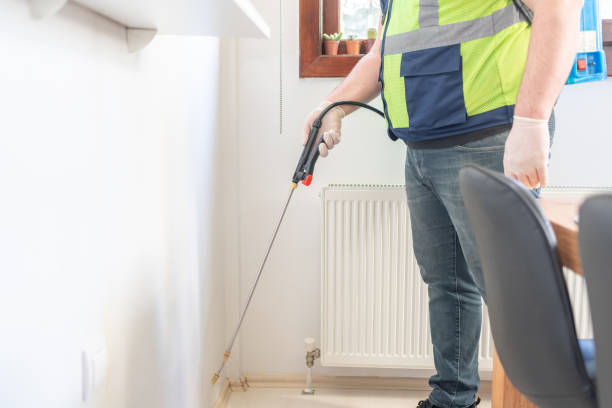 Best Pest Prevention Services  in Bellmawr, NJ