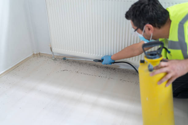 Best Pest Inspection Near Me  in Bellmawr, NJ